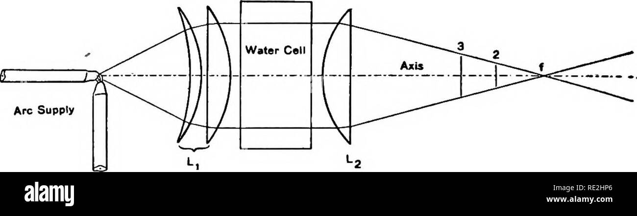 . Il microscopio; un'introduzione ai metodi microscopici e istologia. Microscopi. 200 Il microscopio di proiezione CCh. VI (8), ma per tutte le più alte potenze una sottofase condensatore non è necessario; e uno può hght oggetti fino a 50 o 60 mm. di diametro se l'oggetto è collocato nella giusta posizione nel cono di Ught (fig. 124). (9) per gli obiettivi di potenza maggiore di 4 mm. una sottofase costitui- densa dovrebbe essere utilizzato e se un oculare è utilizzato come pure un obiettivo poi la sottofase condensatore è vantaggioso per potenze superiori a 8 mm. equivalente messa a fuoco. Per l'illuminazione vedere § 104, 107, 352. Fig. 121. iLLUM Foto Stock