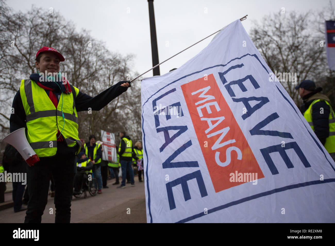 Londra, Regno Unito. 19 gen 2019. Giubbotto giallo protsters marzo intorno a Londra Credito: George Wright Cracknell/Alamy Live News Foto Stock