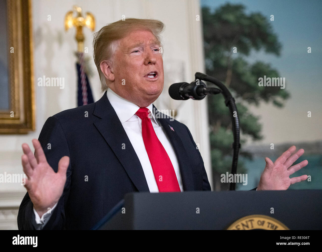 Washington, Stati Uniti d'America. 19 gen 2019. Il Presidente degli Stati Uniti, Trump rende commento sulla crisi umanitaria al confine meridionale del noi e di parziale chiusura del governo federale nella Diplomatic Sala di accoglienza della Casa Bianca. . Credito: Ron Sachs/Piscina via CNP /MediaPunch Credito: MediaPunch Inc/Alamy Live News Foto Stock