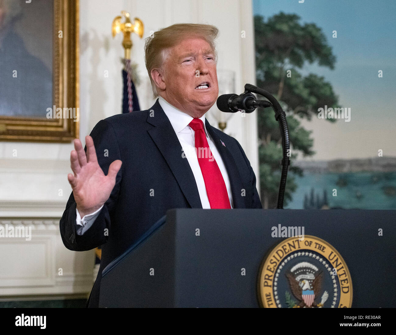 Washington, Stati Uniti d'America. 19 gen 2019. Il Presidente degli Stati Uniti, Trump rende commento sulla crisi umanitaria al confine meridionale del noi e di parziale chiusura del governo federale nella Diplomatic Sala di accoglienza della Casa Bianca. . Credito: Ron Sachs/Piscina via CNP /MediaPunch Credito: MediaPunch Inc/Alamy Live News Foto Stock