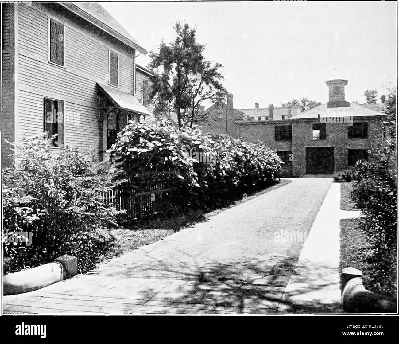 . Scuola e casa gardens. Il giardinaggio; School Gardens. I'Jli SCH(J(JL AXD HOME giardini nel suolo presto in primavera e in autunno dargli un mulcli di grossolana del letame. Se le foglie diventano troppo denso durante l'estate, rimuovere alcuni di loro, e comprimere le estremità di viti di ammettere sunshine alla frutta.. Fig. 104. Vitigni formando una schermata per un Back Yard potatura. Tagliare le piante per tre o quattro gemme prima di piantare. La prossima primavera, prima di sap inizia a girare, rimuovere tutti ma uno stelo e tagliare di nuovo liberamente. La seconda molla dopo la piantagione, tagliare l'AWA}' tutti ma due rami del ma Foto Stock