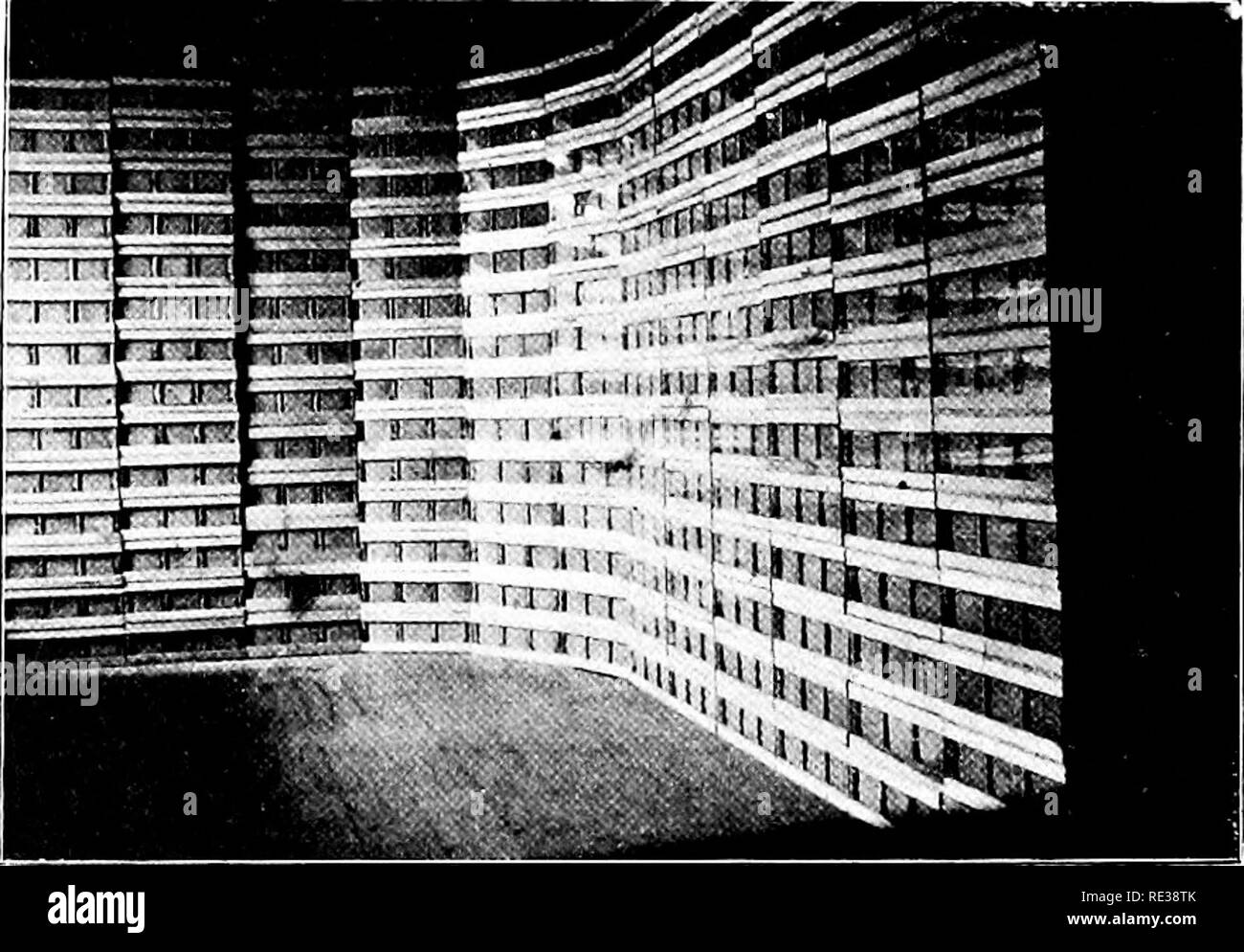 . Cinquanta anni tra le api . Le api. ;.80 cinquanta anni tra le api in cui essi sono messi. Se a loro non piace rimanere essi non necessitano di; potranno contare da qualche parte. Ma come essi sono per la maggior parte delle api queenless che vengono spostati, essi non sono male circa il ritorno- ing. Doppio alveari FOK inverno. Non solo ho lasciato le zone di svernamento (nuclei a due e tre in un alveare, ma un paio di anni fa ho avuto una notevole esperienza in inverno- ing piena di colonie in doppia alveari. Se non avessi cambiato da ten-frame a otto-telaio alveari avrei proseguito la. Fig. 104-miele Slioiv. IJi"actice, ma un otto-frame hive rende troppo angusti e quarti Foto Stock