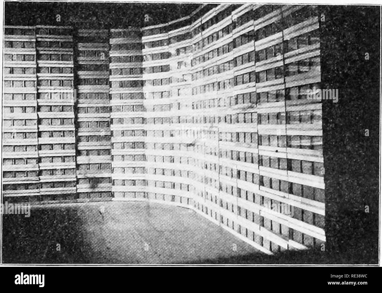 . Cinquanta anni tra le api . Le api. Cinquanta anni tra le api vengono posti. Se a loro non piace rimanere essi non necessitano di; potranno contare da qualche parte. Ma come essi sono per la maggior parte delle api queenless che vengono spostati, essi non sono male circa la restituzione. Doppio alveari per l'inverno. Non solo ho lasciato le zone di svernamento (nuclei a due e tre in un alveare, ma un paio di anni fa ho avuto una notevole esperienza in piena di svernamento delle colonie in doppia alveari. Se non avessi cambiato da ten-frame a otto-telaio alveari mi avrebbe dovuto continuare la pratica, ma un otto-frame hive rende troppo angusti e quarti per due pieno. Fig. 104.-MIELE-show. colo Foto Stock