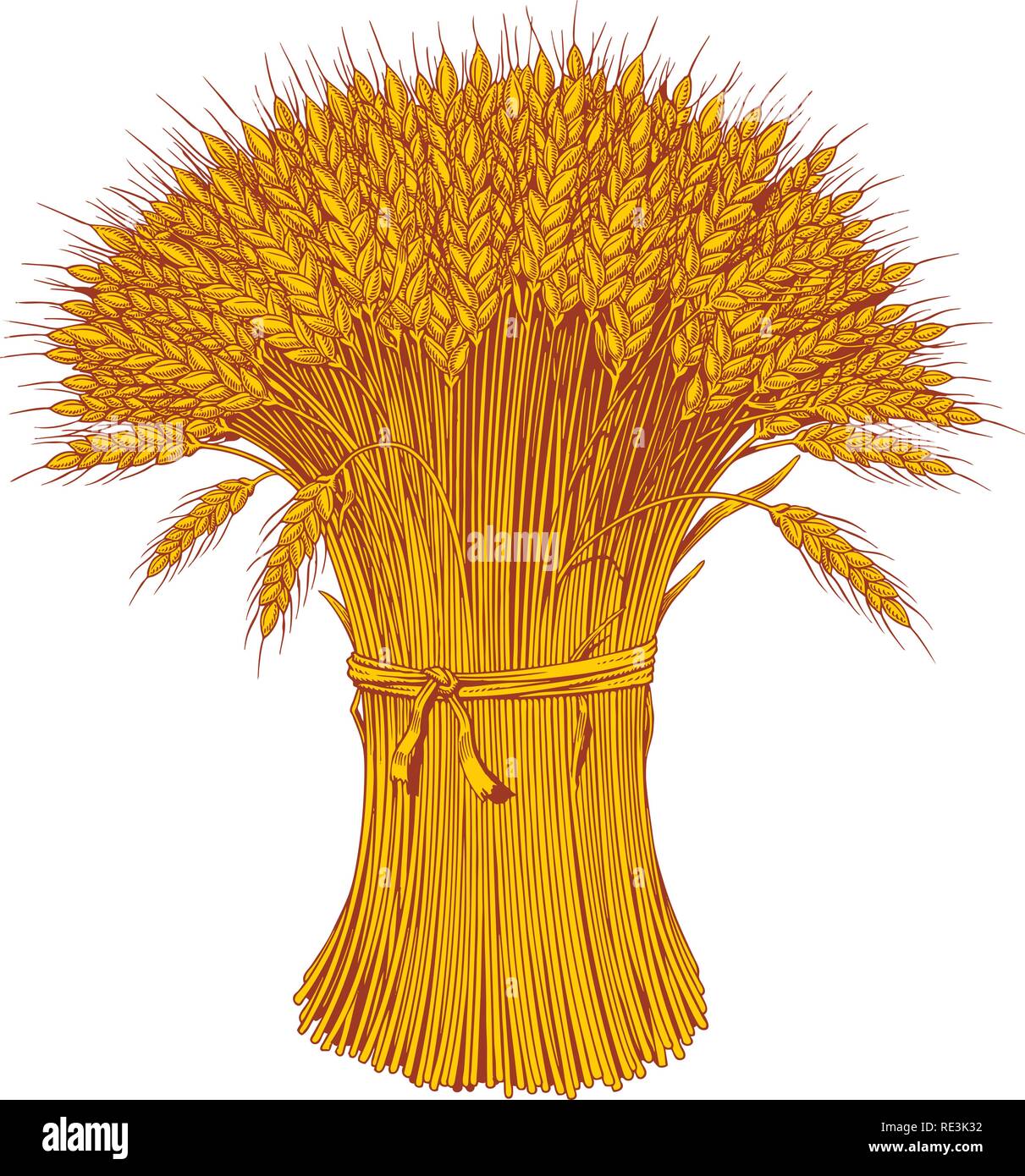 Un covone di grano enagraving. Spighe di grano, di orzo o di segale. Illustrazione Vettoriale. Illustrazione Vettoriale