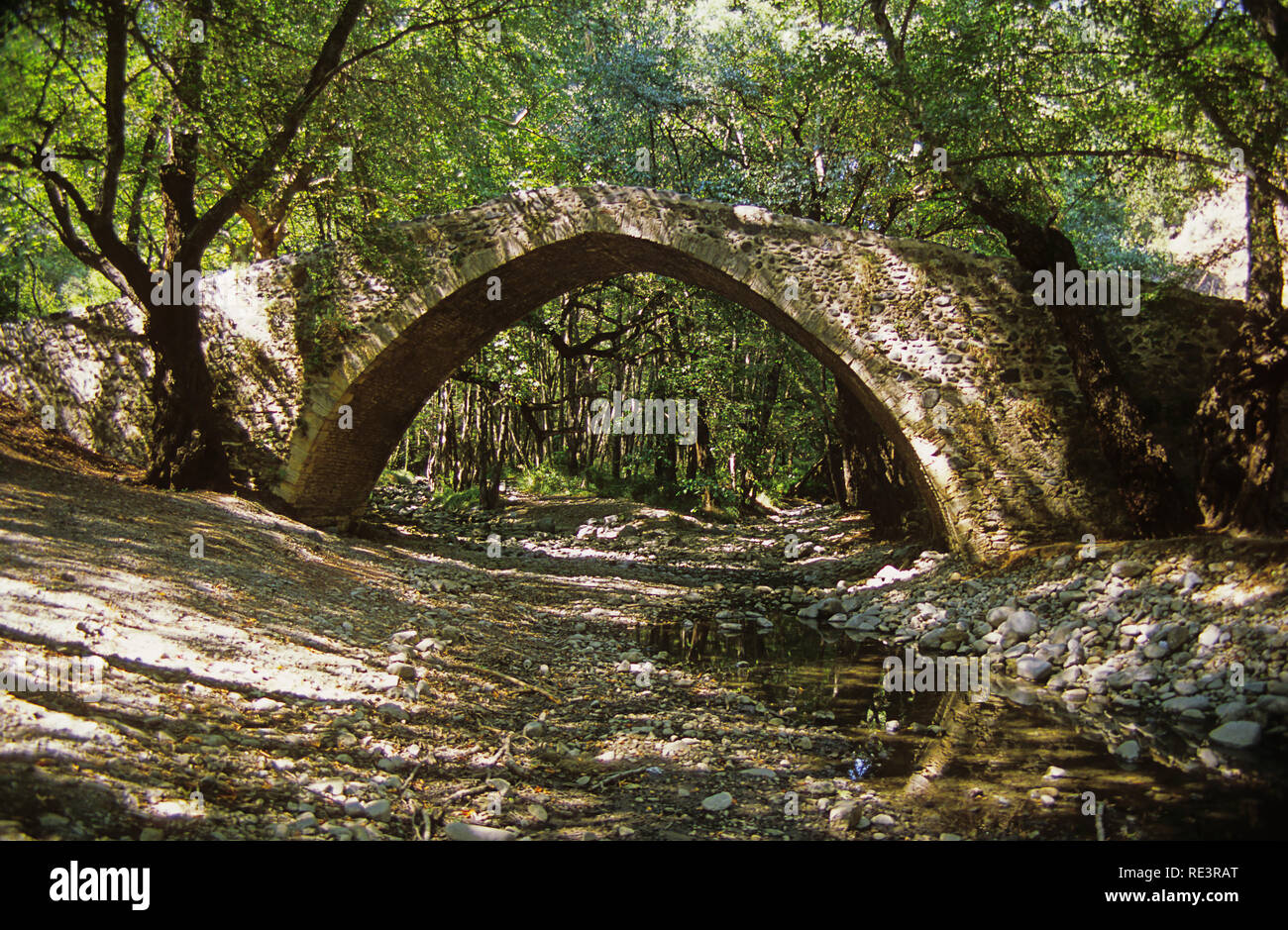 Bellissima medievale singolo Kelefos arcuata ponte attraverso il flusso Dhiarizos amid fitta foresta verde: Cipro Foto Stock