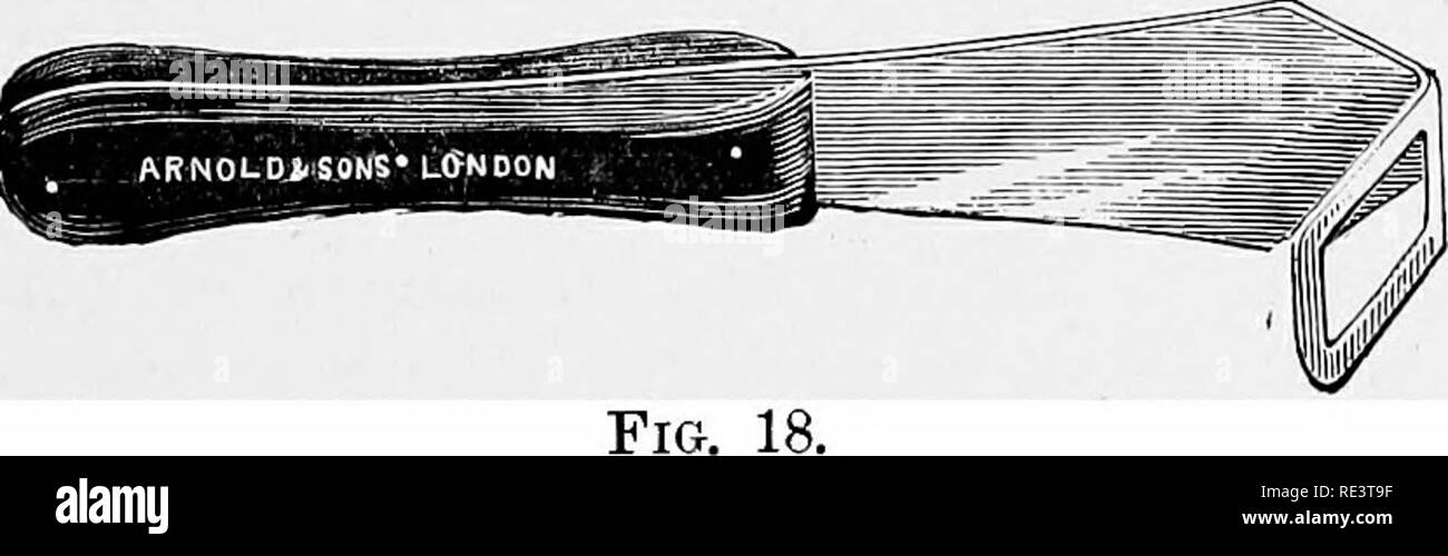 . Ruggito in cavalli (laryngismus paralyticus): la sua storia, natura, cause, la prevenzione e il trattamento ... Cavalli; ruggito. Fig. 17. 15. Due riavvolgitori, per mantenere la trachea aperto durante il funzionamento (Fig. 18). Questi sono forse migliori di filo forte leggermente appiattito, double e aperta e piegata in modo da formare una porzione angolare di circa 3 o 4 cm di larghezza. La lunghezza della parte di impugnatura può essere da 6 a 8 pollici, che della porzione piegata di circa 2 pollici. Si prega di notare che queste immagini vengono estratte dalla pagina sottoposta a scansione di immagini che possono essere state migliorate digitalmente per la leggibilità - colorazione e appearanc Foto Stock