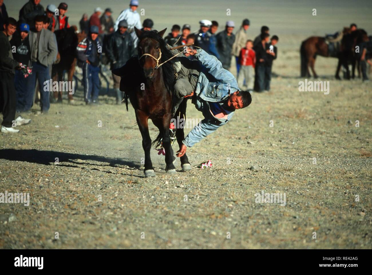 In Tenge-il gioco, cavaliere la cattura di fiori sul terreno mentre al galoppo, Golden Eagle Festival, Bayan Oelgii, montagne di Altai Foto Stock