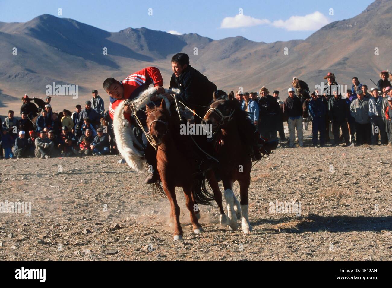 Kek Bar, gioco simile al Buzkashi, cavalieri di competere per una pelle di capra, Golden Eagle Festival, Bayan Oelgii, montagne di Altai Foto Stock