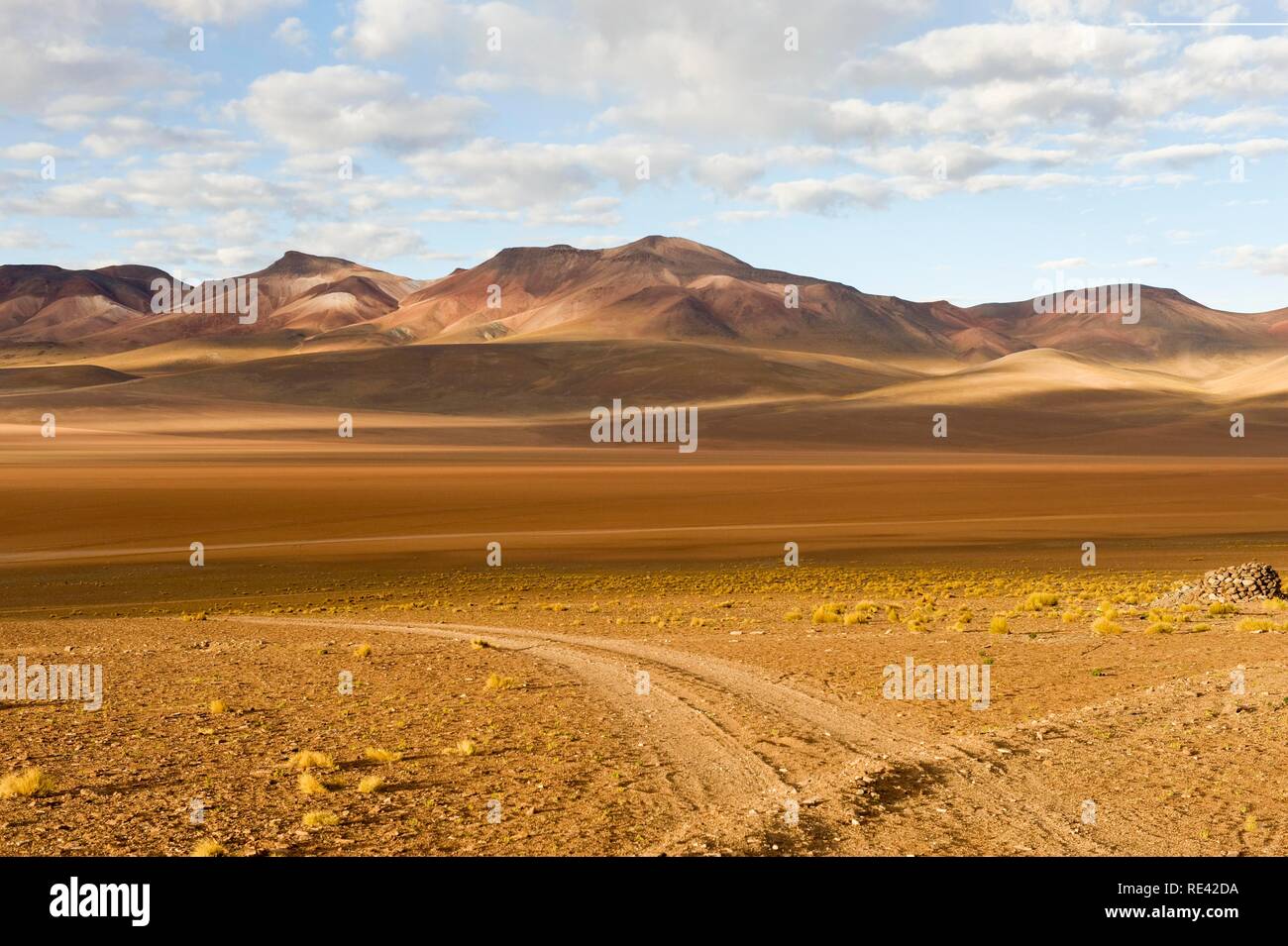 Altipiano boliviano paesaggio, Potosi, Bolivia, Sud America Foto Stock