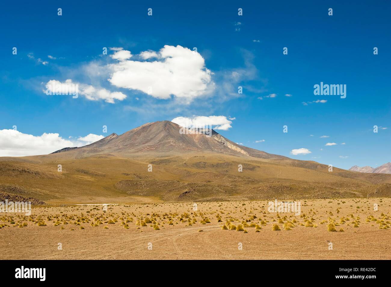 Altipiano boliviano paesaggio, Potosi, Bolivia, Sud America Foto Stock