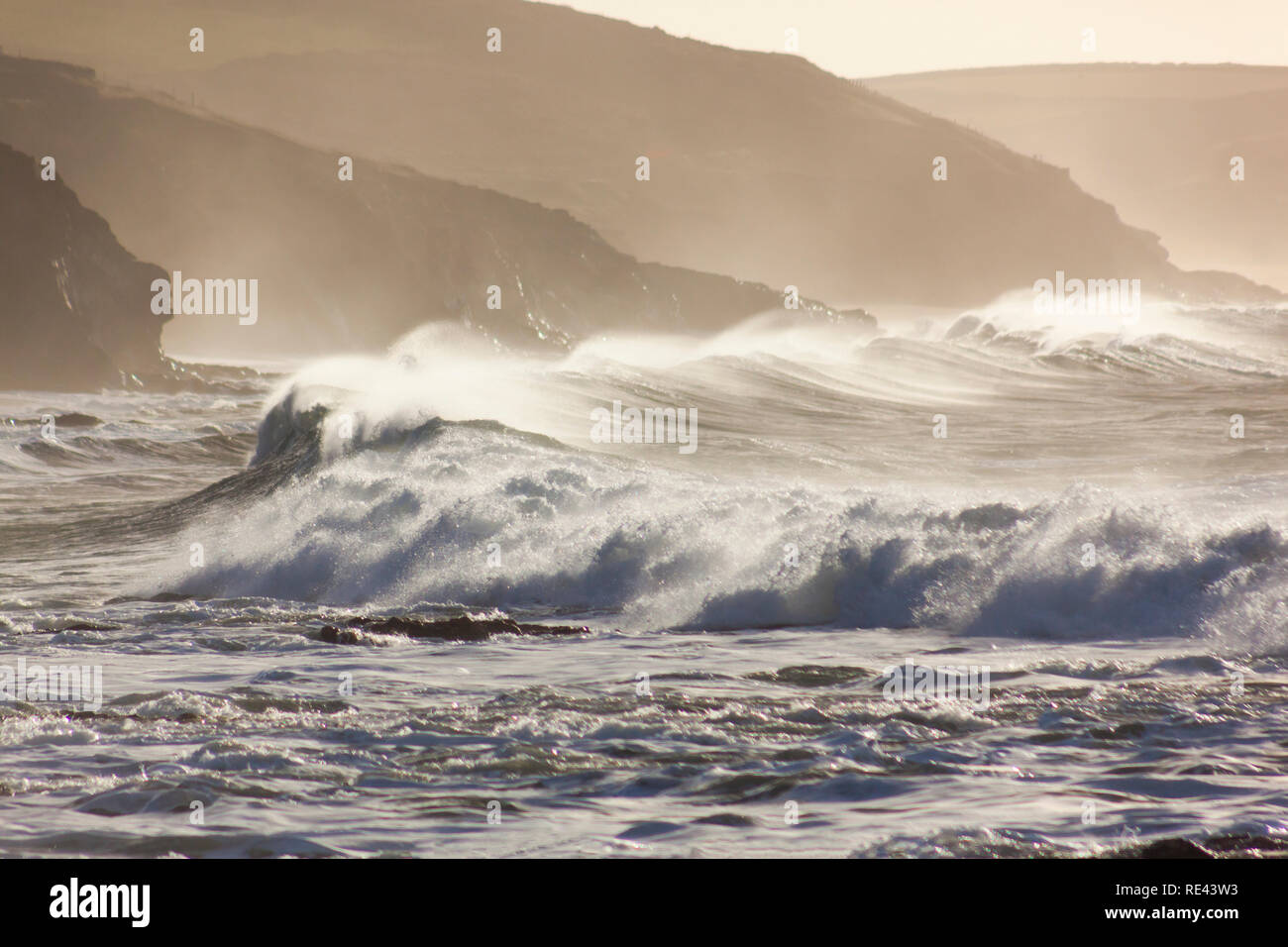 Cavalli bianchi a Sepia Haze crash su Porthleven Beach, Cornovaglia Foto Stock