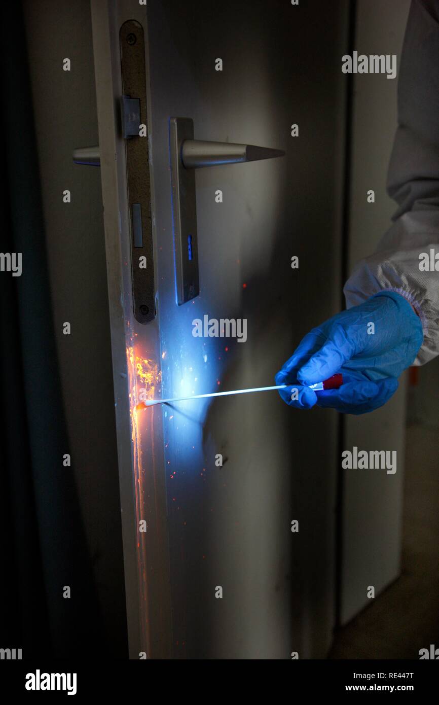 Invisibile sangue e altre tracce di fluidi di corporei sono resi visibili con la luce UV e con l aiuto di un fluido di rilevamento, Foto Stock