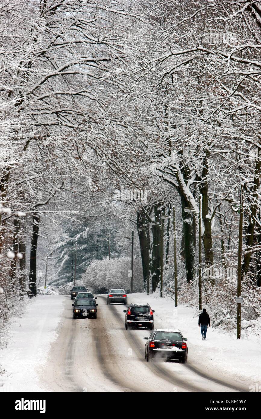 Neve-coperta paese strada in una foresta, inverno condizioni stradali, Essen, Renania settentrionale-Vestfalia Foto Stock