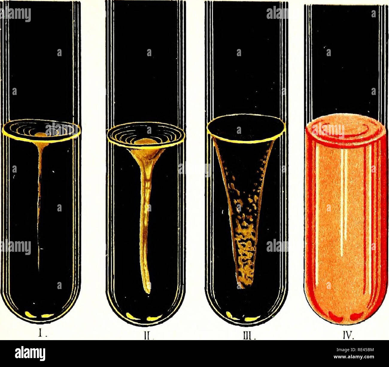 . Atlas e principi di batteriologia e libro di testo di speciali