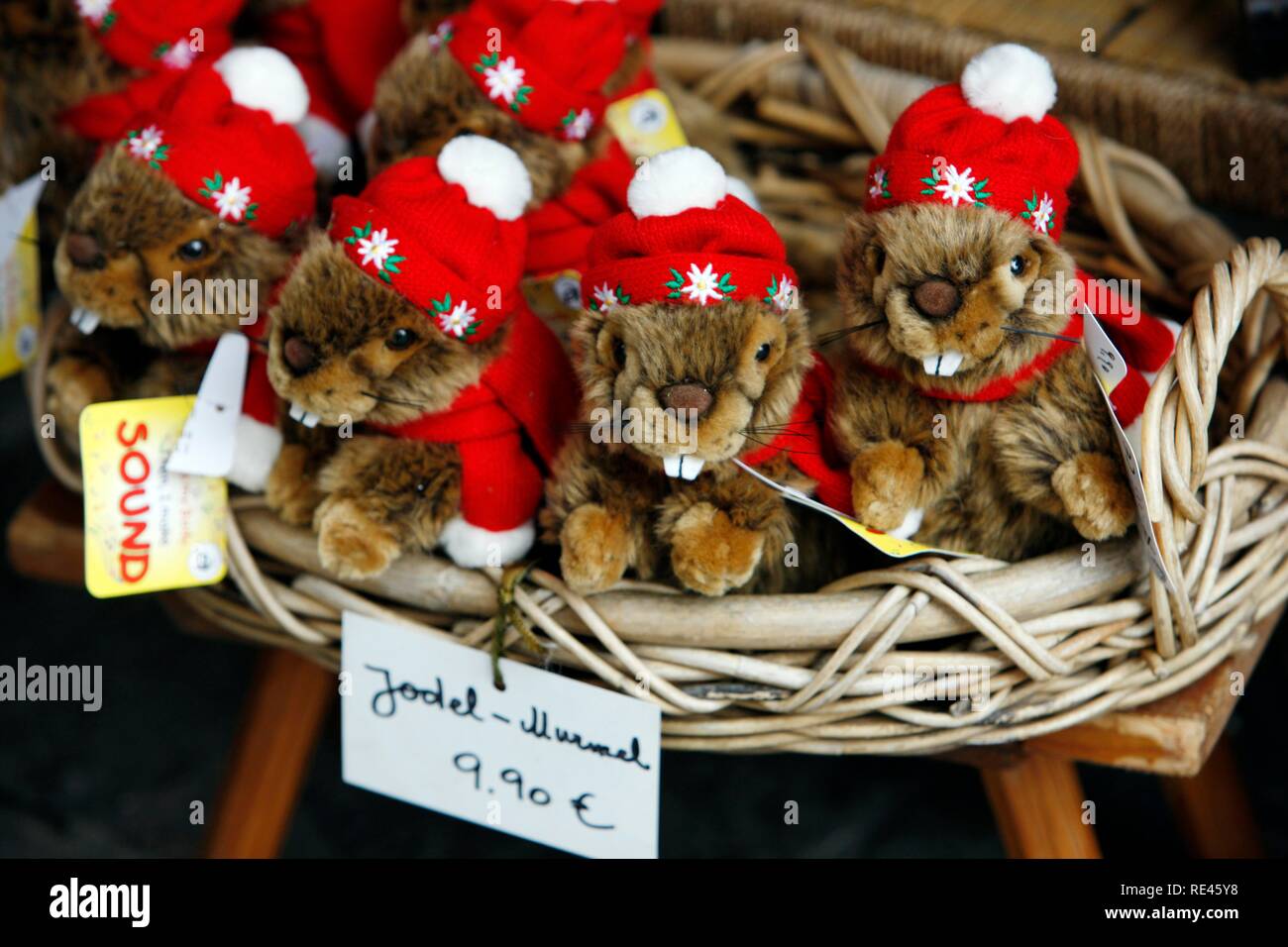 Marmotte peluche, souvenir, mercato di Natale presso la cattedrale di Salisburgo, Austria, Europa Foto Stock