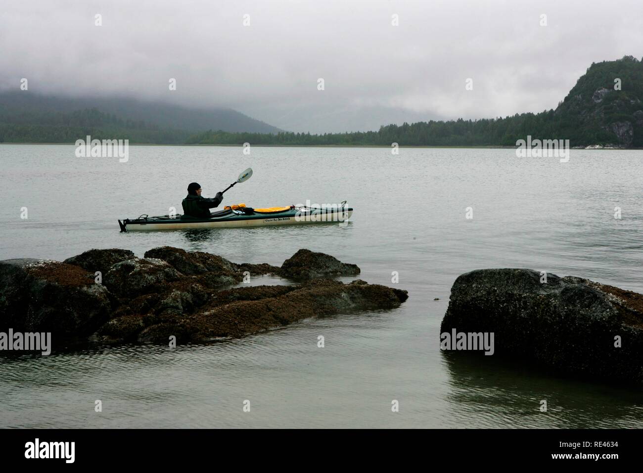 Tour in kayak nel Parco Nazionale di Glacier Bay, Alaska, STATI UNITI D'AMERICA Foto Stock