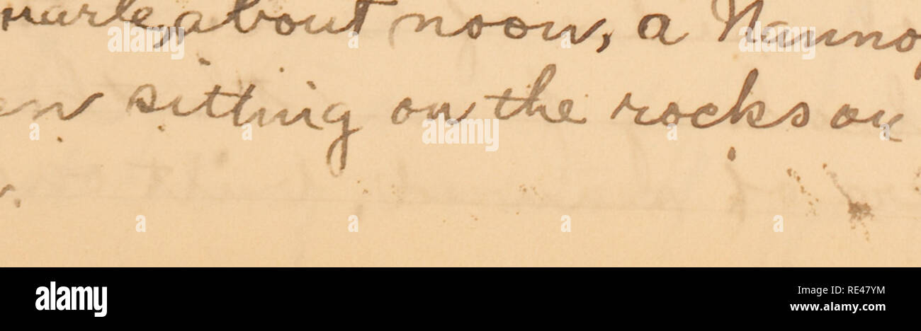 . Edward W. Gifford Galapagos expedition ufficiale, 1905-1906 (compreso).. Sorge' 1* 't u i.. £ L( somma ^È^ -t^Ay. Nazioni Unite^ ^CK^ iHaMjl pax Y (.. &Amp;. Si prega di notare che queste immagini vengono estratte dalla pagina sottoposta a scansione di immagini che possono essere state migliorate digitalmente per la leggibilità - Colorazione e aspetto di queste illustrazioni potrebbero non perfettamente assomigliano al lavoro originale. Gifford, Edward Winslow. Foto Stock