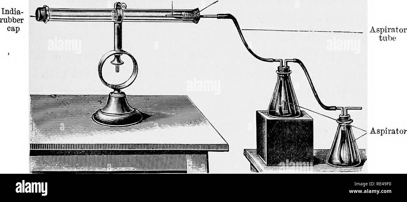 . Manuale di batteriologia per i professionisti e gli studenti, con particolare riferimenti a metodi pratici. Batteriologia. Metodo di Strauss e WtJRZ 101 gelatina (liquefazione). I germi può quindi essere isolato da un ulteriore trasferimento di piastre di coltura, e sottoposti a esame microscopico. Tubo di vetro con tappo in gomma. Aspiratore Fig. 31.-Hesse iuk ArpAitATus i;x^.min"jxg aria. Metodo di Strauss e Wiirz.-l'aria viene aspirata in un recipiente di vetro pieno di gelatina liquida per mezzo di un tubo fissato all'apertura per l'admissiou del serbatoio dell'aria filleil con gelatina tubuluie laterale di maiale. 32.-Aiii-TEsTiKG Appar Foto Stock