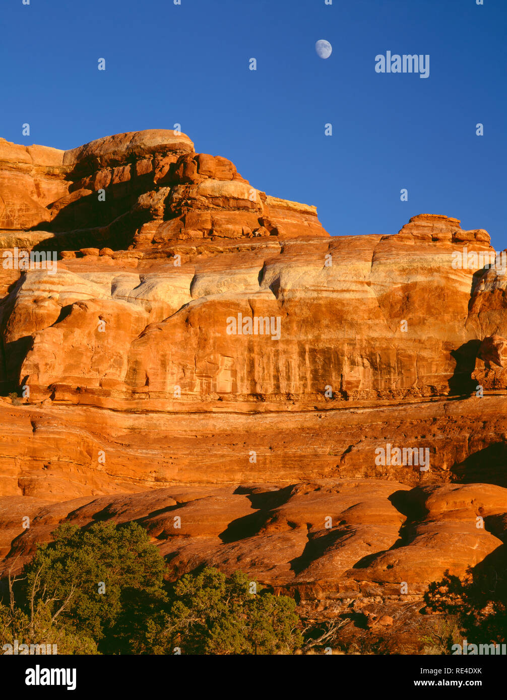 Stati Uniti d'America, Utah, il Parco Nazionale di Canyonlands, tramonto sulle ripide pareti di Squaw Butte e luna crescente; gli aghi distretto. Foto Stock