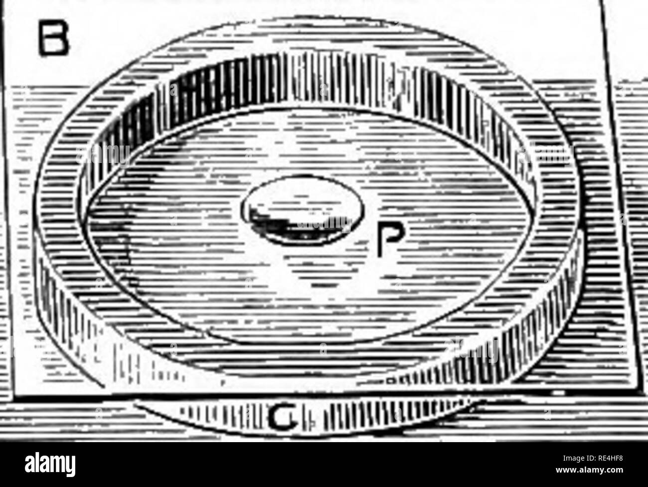 . Microrganismi e malattia. Un'introduzione allo studio di specifici microrganismi. Microrganismi. v] Metodi di inoculazione hj la crescita del singolo bacilli fissato nel set la gelatina in thread e la formazione della caratteristica colonie composte da curve e contorti thread. Ugualmente in- teresting è di guardare la formazione di colonie tramite il Proteus vulgaris o proteus Zenkeri, il " sciamatura'', e il collettore di germogliazione outgrowths filiforme ; o la progressiva formazione di globuli luminosi e loro ingrandire- mento nella caratteristica forma ovale di spore per Foto Stock
