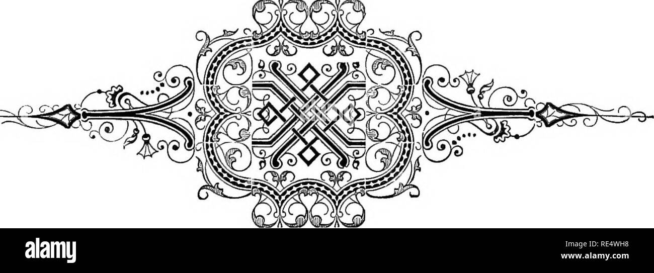 . Una storia britannica di uccelli. Gli uccelli. SKY-allodola. 273 alcuni degli uccelli alight qui la grande maggioranza passare giù lungo la costa in una sola volta. Non credo che le mosche Sky-Lark molto vicino al mare durante la migrazione^ per esso molto di rado è catturato in volo-reti." Probabilmente alcuni di questi neo arrivato uccelli terrestri di deriva in una sola volta; ma di gran lunga il maggior numero di continuare le loro migrazioni^ seguendo la linea costiera a sud e a molte delle stazioni il flusso di uccelli migratori passando da nord a sud lungo la costa in autunno è maggiore rispetto a quella proveniente da est sul mare. La costa-lin Foto Stock