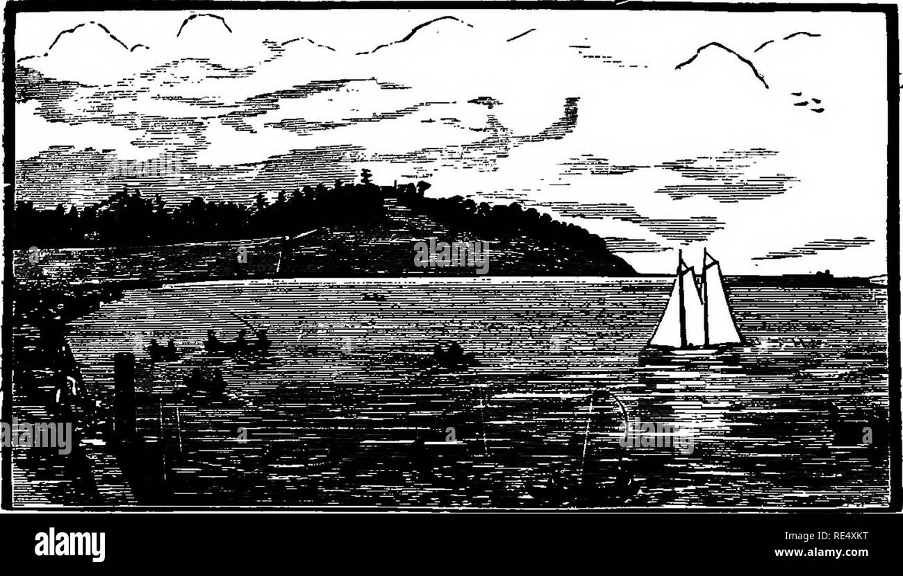 . Uccelli selvatici di ripresa. Contenenti scientifico e pratico le descrizioni degli uccelli selvatici: loro resorts, abitudini, voli e più efficace metodo di caccia di loro ... Caccia; gioco e gioco-uccelli. Gli sportivi di attrezzature di usura. Produciamo il più grande e il mo3t linea completa di sportivi dell abbigliamento e attrezzature nel mondo, consistente di cappotti, canottiere, mutande, berretti, cappelli, Legginsj camicie, stivali, scarpe, casi di Pistola per cartuccia, borse e cinture, ecc., in qualità ineguagliabile, a prezzi moderati. Inviare per catalogo e campioni. GEO. BARNARD &AMP; CO., 108 Madison Street, . - • CHICAGO. ILL. Casa dei tRe Wil Foto Stock