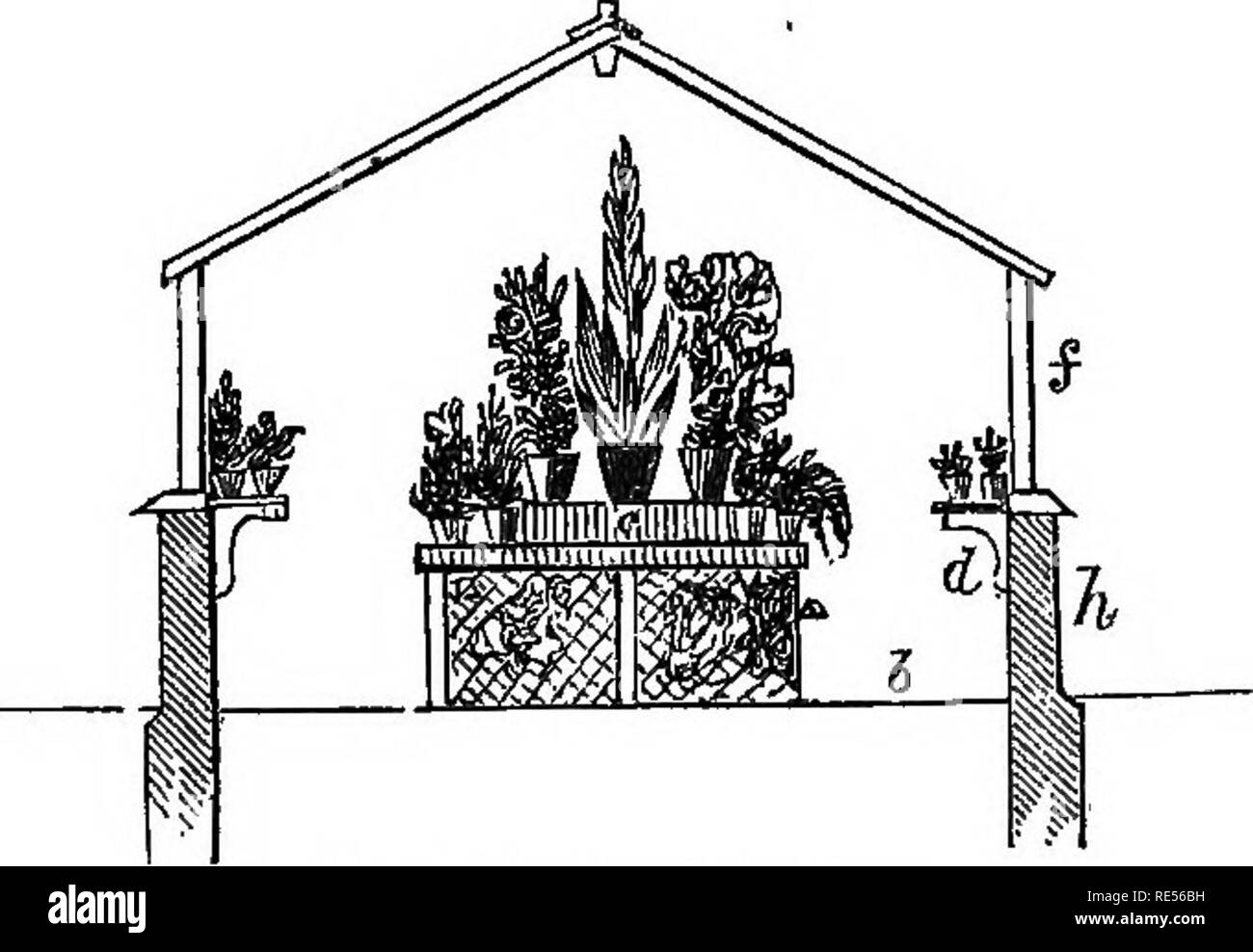 . Saggi rurale. Il giardinaggio; architettura, nazionale; l'architettura del paesaggio; gli alberi. Un capitolo sui green-CASE. 39. La Fia. 8. La sezione della stessa. tMck è suflBcient); oppure può, quando esso deve essere fissato a un legno- en casa di abitazione,-essere costruita in legno di cedro di buoni posti essendo impostato come sup - LE PORTE 3^ piedi deej) e rivestito con meteo- imbarco su ciascun lato, lasciando uno spazio di 12 pollici di larghezza, per essere riempito molto com- pactly con polvere di carbone o asciutto tan. All'estremità più lontana della casa è una porta, i. Il tetto può salire al centro in modo da essere da dodici a quindici metri di altezza (nel nostro piano, è mostrato 12 piedi). È che Foto Stock