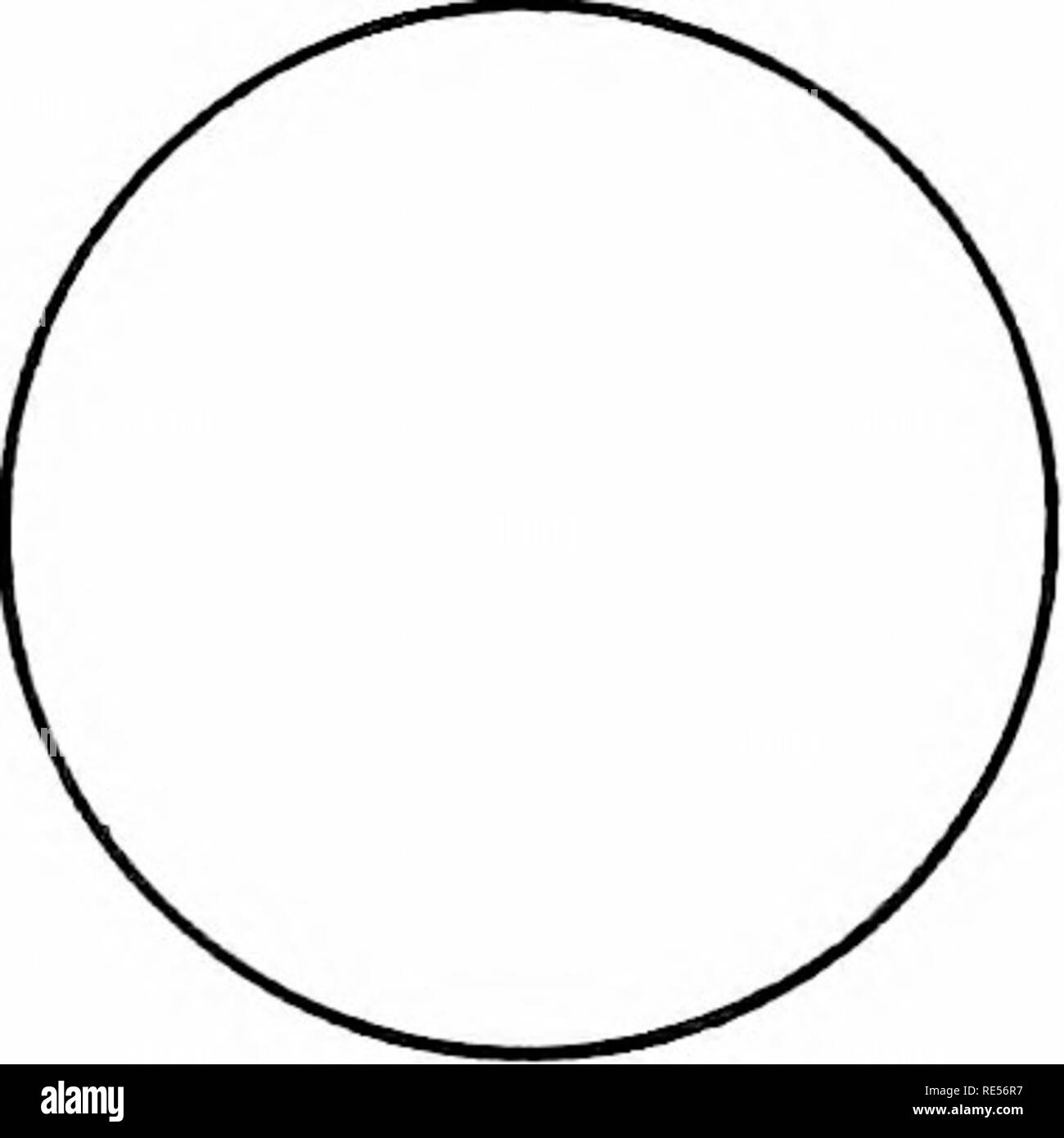 . Il latte condensato e il latte in polvere preparati per l'impiego di latte condenseries, lattiero-caseari gli studenti e il cibo puro reparti. Latte condensato. Composizione e io-'koi'ICrtiks oi- AIitK polveri 323 chiamato soluzione è un fattore che non dipendono sempre dalla loro effettiva solubilità. A parità di altre condizioni, è ubvious che il tiner le particelle di polvere più rapidamente si dissolvono. Questo fatto è basata sulla ben nota legge fisica che il più piccolo di un corpo il più grande è la sua superficie in proporzione al suo contenuto cubico. Il sur- facce delle due sfere sono tra loro come le piazze di Foto Stock