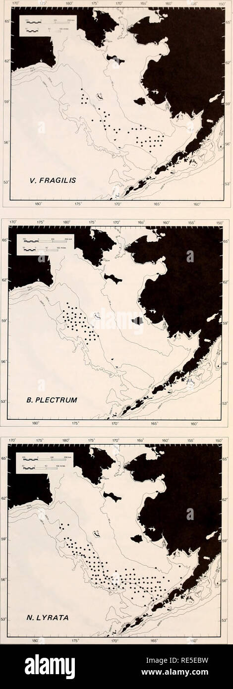 . La parte orientale del Mare di Bering ripiano : oceanografia e risorse / a cura di Donald W. cofano e John A. Calder. Oceanografia del mare di Bering.. C. MAGNA. 1217. Si prega di notare che queste immagini vengono estratte dalla pagina sottoposta a scansione di immagini che possono essere state migliorate digitalmente per la leggibilità - Colorazione e aspetto di queste illustrazioni potrebbero non perfettamente assomigliano al lavoro originale. Cappa, D. W. (Donald Wilbur), 1918-; Calder, Giovanni A; Stati Uniti. Ufficio di inquinamento marino; valutazione degli Stati Uniti. Bureau of Land Management. [Rockville, Md. ?] : U. S. Dipartimento di Commercio, National Oceanic Atmospheric e ADM Foto Stock