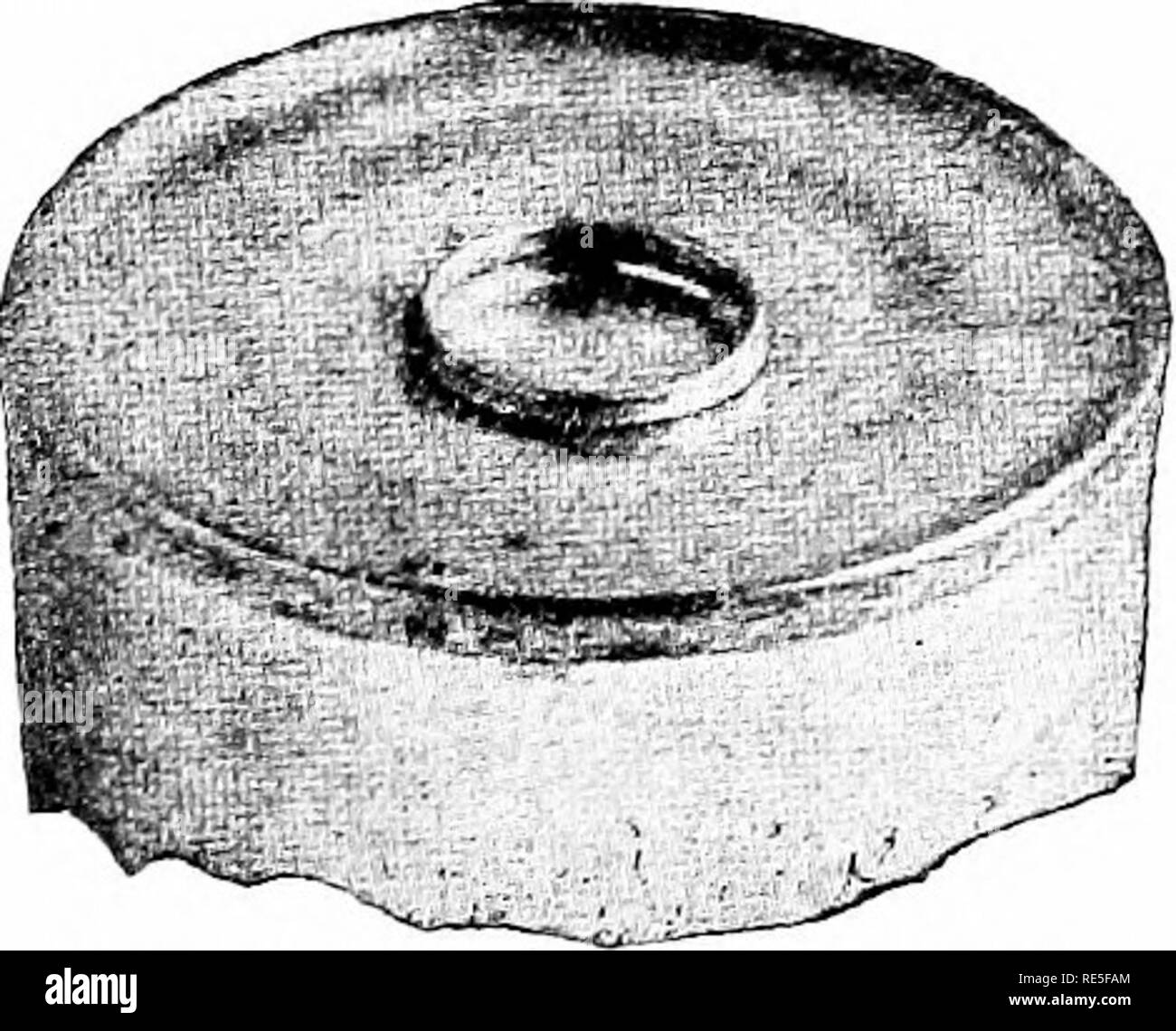 . Il latte condensato e il latte in polvere preparati per l'impiego di latte condenseries, lattiero-caseari gli studenti e il cibo puro reparti. Latte condensato. Fig*. 40. La guarnizione di tenuta per saldatura Tig. 41. L'assorbente può. Si prega di notare che queste immagini vengono estratte dalla pagina sottoposta a scansione di immagini che possono essere state migliorate digitalmente per la leggibilità - Colorazione e aspetto di queste illustrazioni potrebbero non perfettamente assomigliano al lavoro originale. Hunziker, Otto Frederick, b. 1873. La Fayette, ind. , L'autore Foto Stock