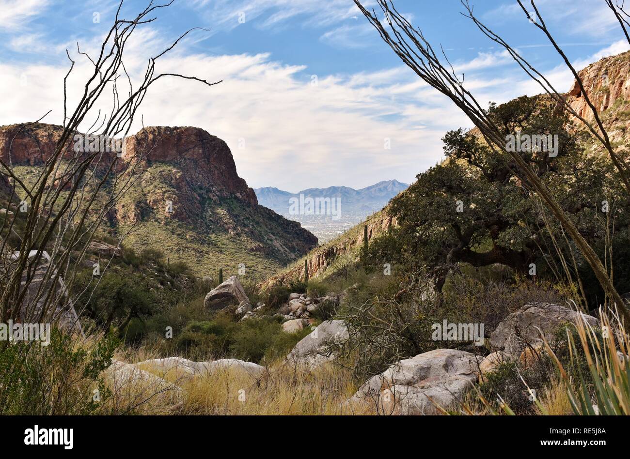 Pima Canyon Trail nella Foresta Nazionale di Coronado. La Santa Catalina Mountains può essere visto, con Tucson, Arizona in distanza. Foto Stock