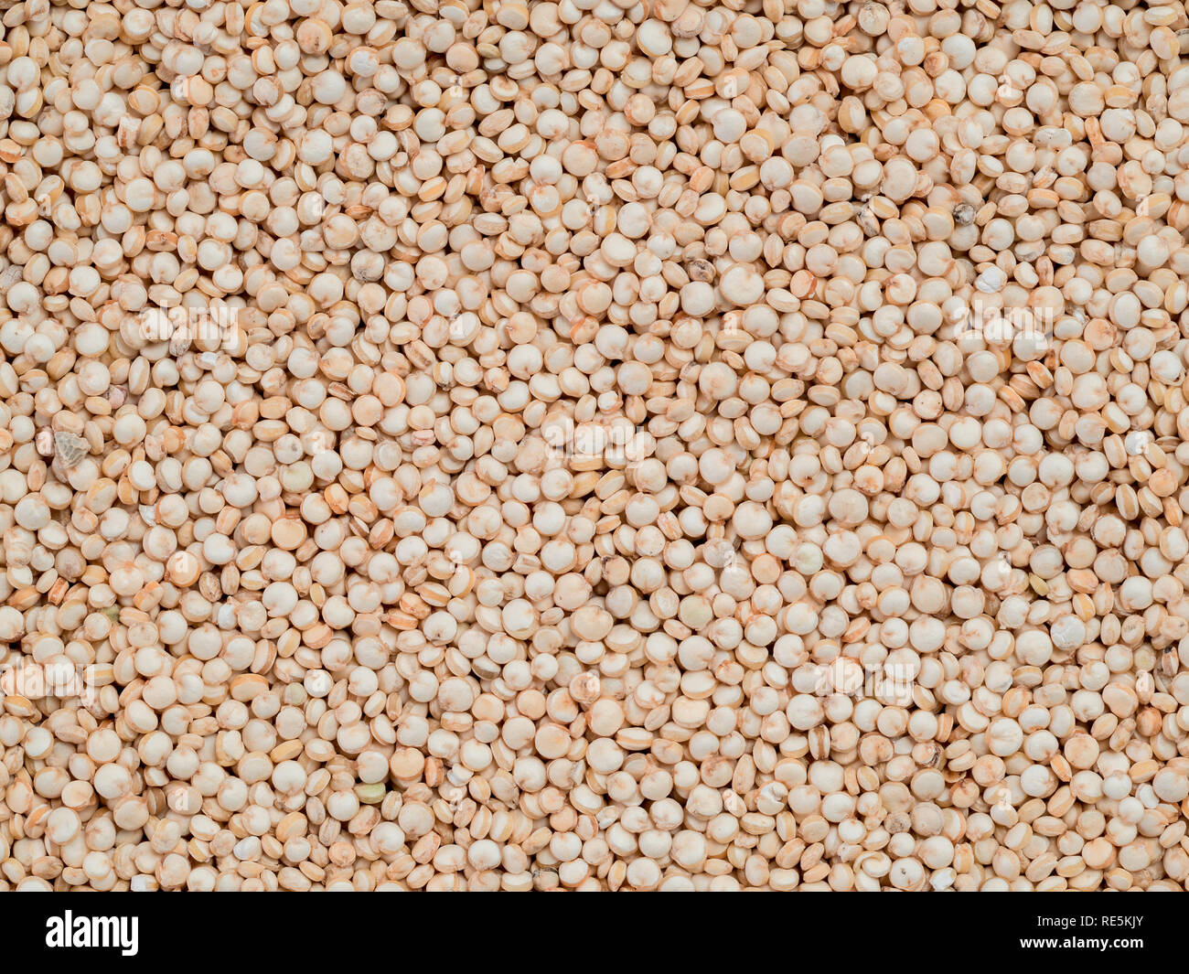 Grano di quinoa. Non cotti materie la quinoa come sfondo. Sano cibo vegan concetto e modello Foto Stock