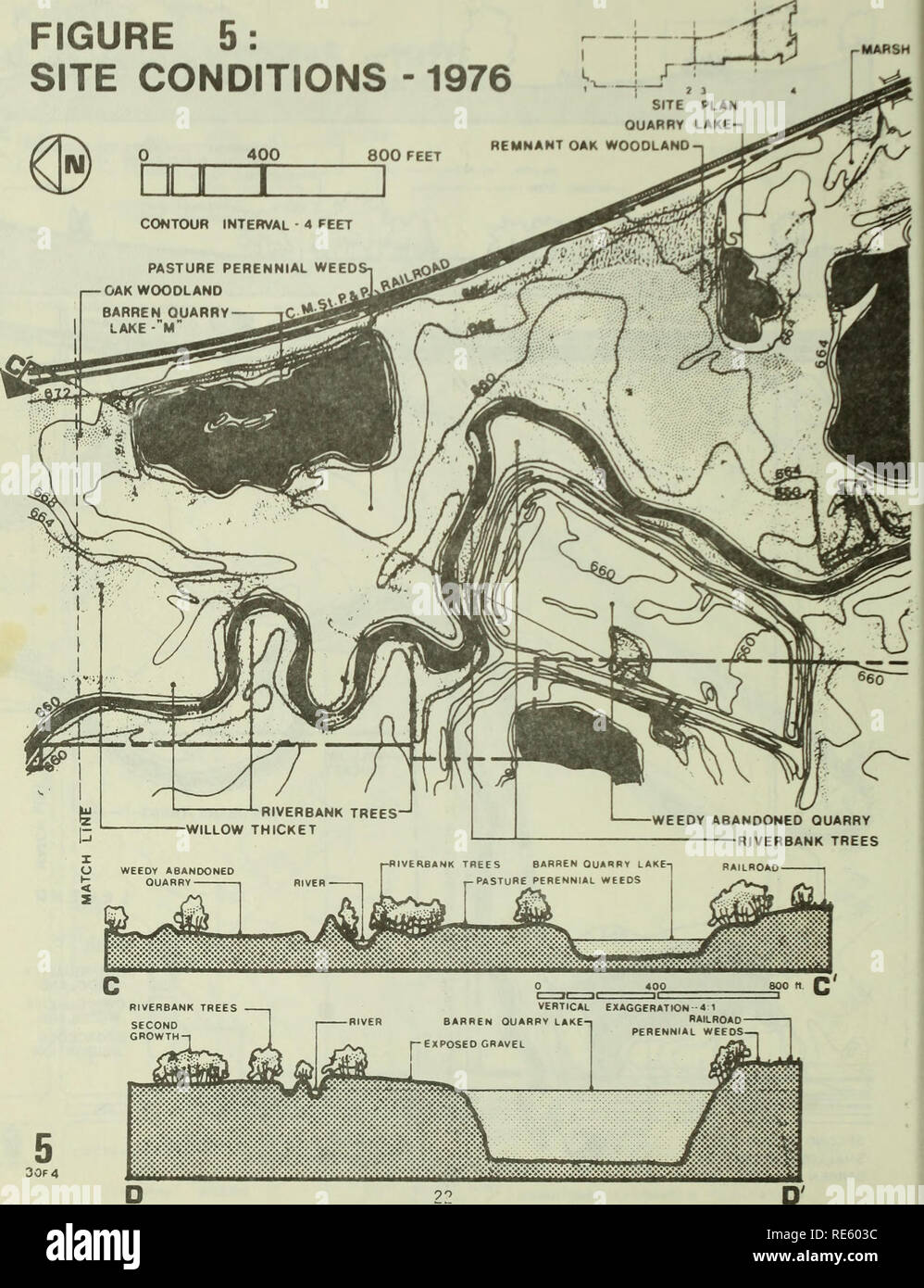 . Creazione di habitat in zone umide nel nordest Illinois. La gestione della qualità delle acque; zone umide. Figura 5: Condizioni Sito -dal 1976. Si prega di notare che queste immagini vengono estratte dalla pagina sottoposta a scansione di immagini che possono essere state migliorate digitalmente per la leggibilità - Colorazione e aspetto di queste illustrazioni potrebbero non perfettamente assomigliano al lavoro originale. Hey, Donald L; Illinois. Dipartimento di Energia e di risorse naturali. [Springfield, Ill. ] : Illinois Dipartimento di Energia e risorse naturali Foto Stock