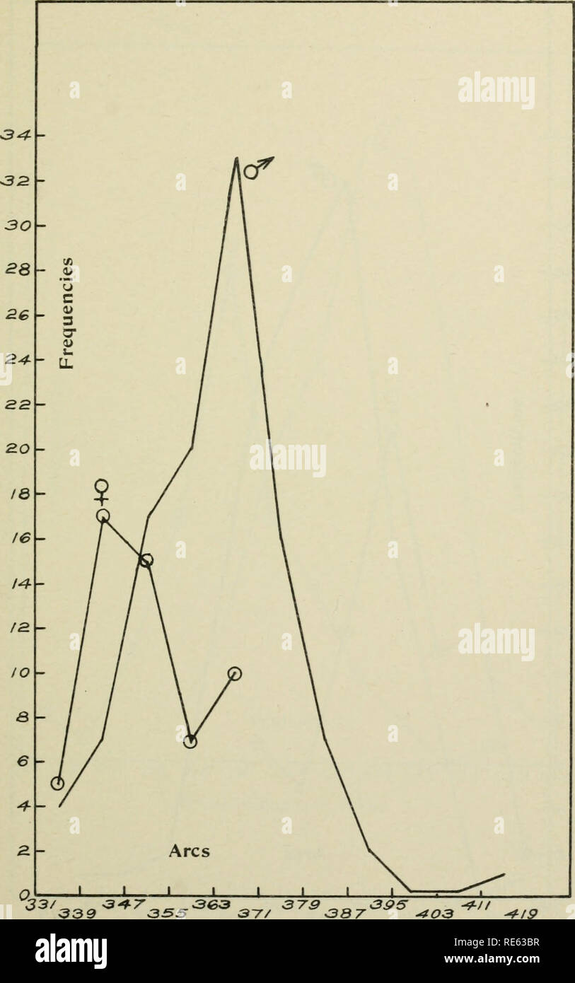. Craniometry della Nuova Guinea. Craniometry; Craniology -- Nuova Guinea. Fig. 19. Archi sagittale, nasion a opisthion. 233. Si prega di notare che queste immagini vengono estratte dalla pagina sottoposta a scansione di immagini che possono essere state migliorate digitalmente per la leggibilità - Colorazione e aspetto di queste illustrazioni potrebbero non perfettamente assomigliano al lavoro originale. Hambly, Wilfrid Dyson, 1886-. Chicago: Museo di campo premere Foto Stock