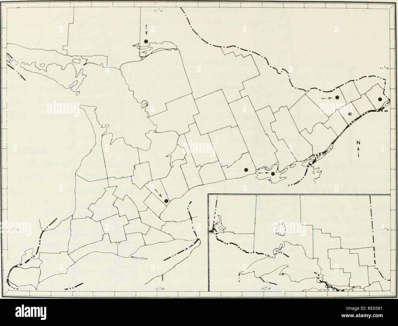 . I lombrichi (lumbricidae e sparganophilidae) di Ontario. Lumbricidae; worm. Fig. 31 Il noto Ontario distribuzione di Lumbncus festosa. CARLETON CO. *Ottawa-Carleton Rd 35, 2.42 km s di Leonard, sotto i registri, 11 maggio 72. JWR. 1- 1-0. DUNDAS CO. *Hwy 31, 3.55 km n Morrisburg, sotto il legname, 11 Maggio 72, 0-1-0. GLEN- GARRY CO. *Hwy 34, 11.13 km n di Lancaster, sotto log, 11 Maggio 72, 1-0-0. *Hwy 34. 5,65 km n di Alessandria, sotto log, 11 Maggio 72, JWR, 0-0-1. NIPISSING DIST. *Hwy 17. 1,29 km e di Ver- ner, sotto la carta nel fosso umido, 13 Maggio 72, JWR &AMP; JEM, 2-1-0. NORTHUMBERLAND CO. *Hwy 45. B Foto Stock