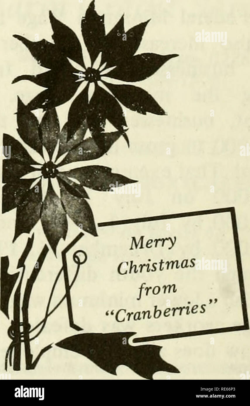 . Cranberries; : la nazionale rivista di mirtillo palustre. Mirtilli rossi. GuMEdijtoud Washington andamento climatico ha spiegato una questione di pudore da Robert W. Henderson per mostrare una ridda di parere di uno del valore, abilità o realizzazioni è di essere modesto. La maggior parte degli scienziati con i quali ho lavorato presso la Oregon State University durante gli ultimi quattro decenni hanno frustrato di me con la loro devozione alla modestia. Questi atti e ben addestrato gli scienziati nei diversi dipartimenti di ricerca di filiali e stazioni di esperimento hanno compiuto numerose scoperte scientifiche che hanno beneficiato di ogni cittadino di Oregon attraverso una maggiore efficienza con Foto Stock
