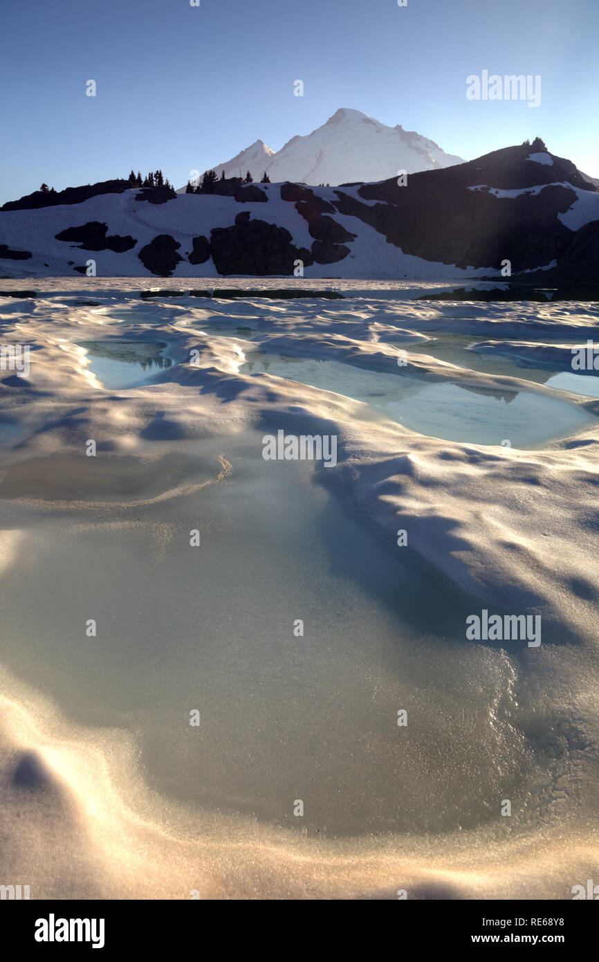 La piscina di acqua di fusione su iced over 14-lago di capra al tramonto, il Monte Baker in background, Ptarmigan Ridge, il Monte Baker National Recreation Area, Washington C Foto Stock