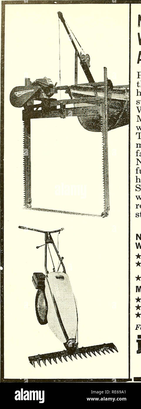 . Cranberries; : la nazionale rivista di mirtillo palustre. Mirtilli rossi. Ora JARI fruste erbacce sulla terra e sotto l'acqua fastidiose erbacce hanno offuscato la bellezza della Lakeshore case e rovinato il nuotare e andare in barca. Con il nuovo tosaerba subacqueo, Jari può battere le erbacce ovunque si trovino. Questo modello di Subacquea mows 'em dalla sur- faccia a una profondità di 42". Ora, ogni spiaggia può essere divertente. E sulla terra, la heavy duty Monarch Barra falce urti del tosaerba erbacce giù anche su terreni accidentati, terreno roccioso o pendii ripidi. Nuovo sottomarino tosaerba erbaccia -k cancella un 42" wide swath tH: Facile da montare su imbarcazioni a remi standard â¢tc Adjusta Foto Stock