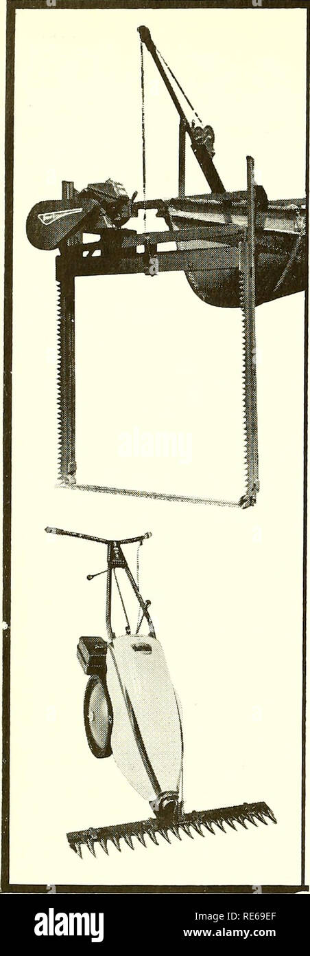 . Cranberries; : la nazionale rivista di mirtillo palustre. Mirtilli rossi. Ora JARI fruste erbacce sulla terra e sotto l'acqua fastidiose erbacce hanno offuscato la bellezza della Lakeshore case e rovinato il nuotare e andare in barca. Con il nuovo tosaerba subacqueo, Jari può battere le erbacce ovunque si trovino. Questo modello di Subacquea mows 'em dalla sur- faccia a una profondità di 42". Ora, ogni spiaggia può essere divertente. E sulla terra, la heavy duty Monarch Barra falce urti del tosaerba erbacce giù anche su terreni accidentati, terreno roccioso o pendii ripidi. Nuovo sottomarino tosaerba erbaccia •k cancella un 42" wide swath se Facile da montare su imbarcazioni a remi standard + regolabile Foto Stock
