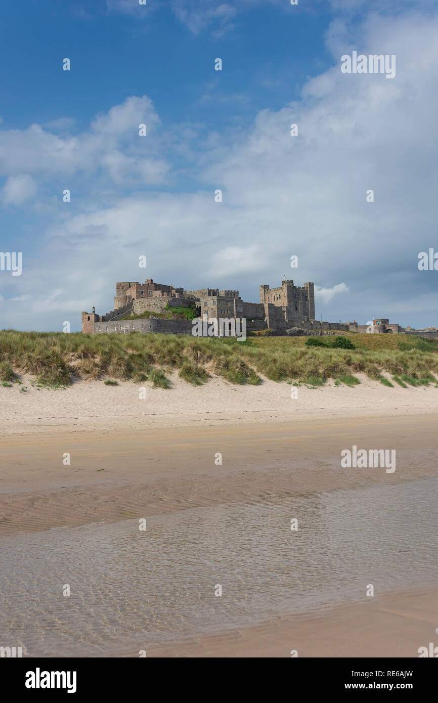 Il castello di Bamburgh da Bamburgh Beach, Bamburgh, Northumberland, England, Regno Unito Foto Stock