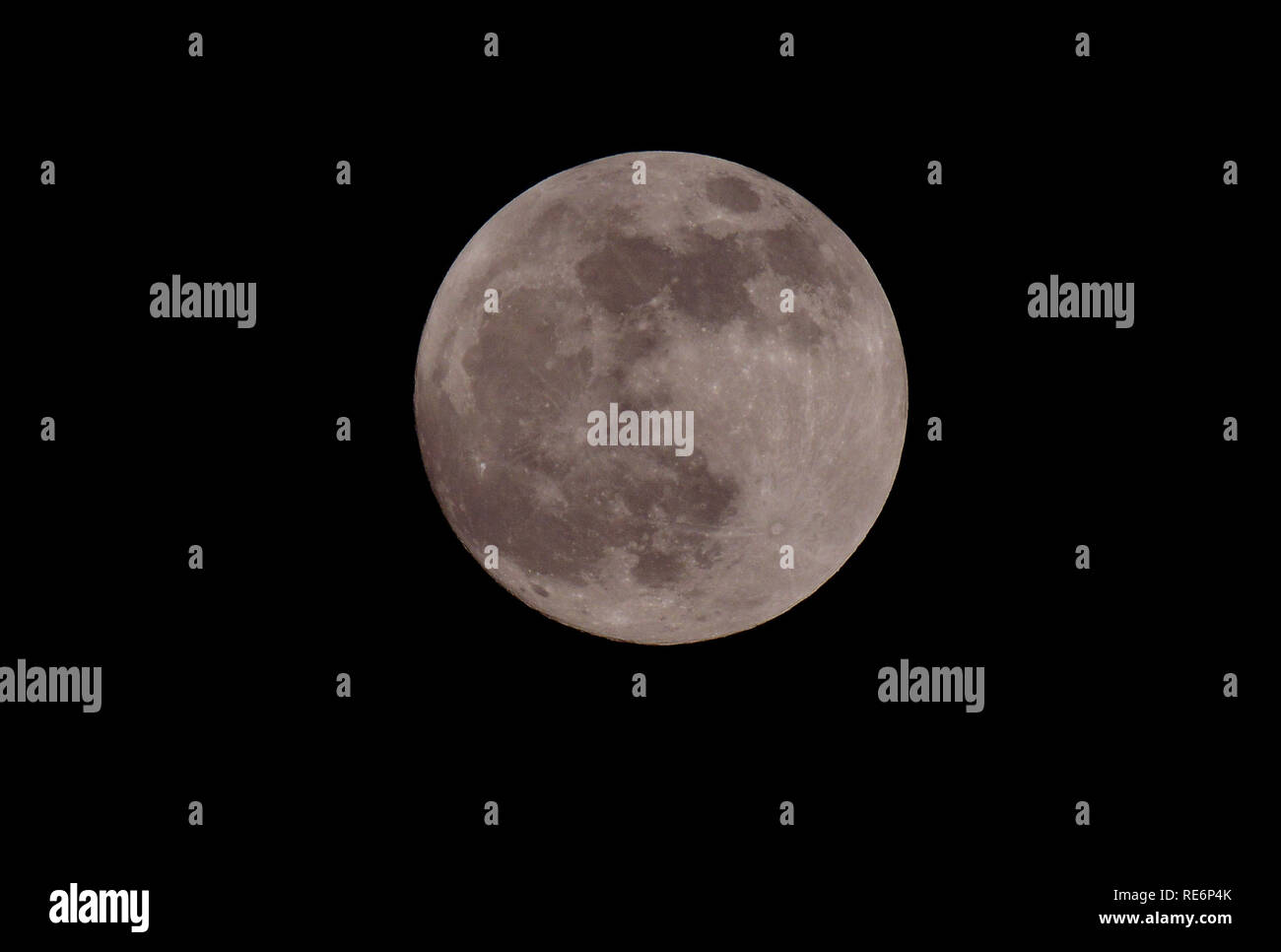 Essex, Regno Unito. Xx gen, 2019. La luna piena sorge sopra Essex REGNO UNITO. Un eclissi lunare totale noto anche come una luna di sangue si verifica per la prima volta dal 27 luglio 2018 Credit: MARTIN DALTON/Alamy Live News Foto Stock