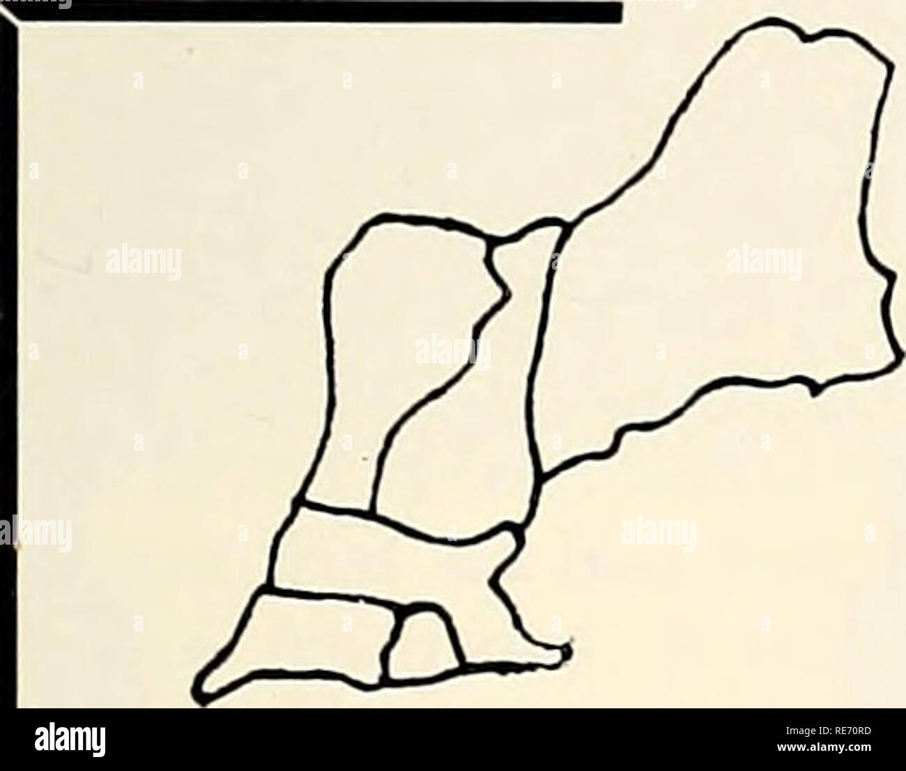 . Cranberries; : la nazionale rivista di mirtillo palustre. Mirtilli rossi. , Regionali mi osserva MASSACHUSETTS da IRVING E. DEMORANVILLE il dottor Robert Devlin del mirtillo di- ment stazione era invitato a visitare e lezione in Polonia può 14-23. Bob vi^come invitati dall'Accademia di Agricoltura a Szczecin per lec- ture sulla fisiologia degli erbicidi. Ha tenuto conferenze presso varie accademie theWarsawUniversity di Agricul- ture a Varsavia, Stettino e di Cracovia e alla Pomology Institute presso Akierniewice. Dati meteo attraverso giugno 1 mostrano un totale di 4 punti di un possibile 16 che favoriscono il mantenimento della qualità per il 1989 Massachusetts cranbe Foto Stock