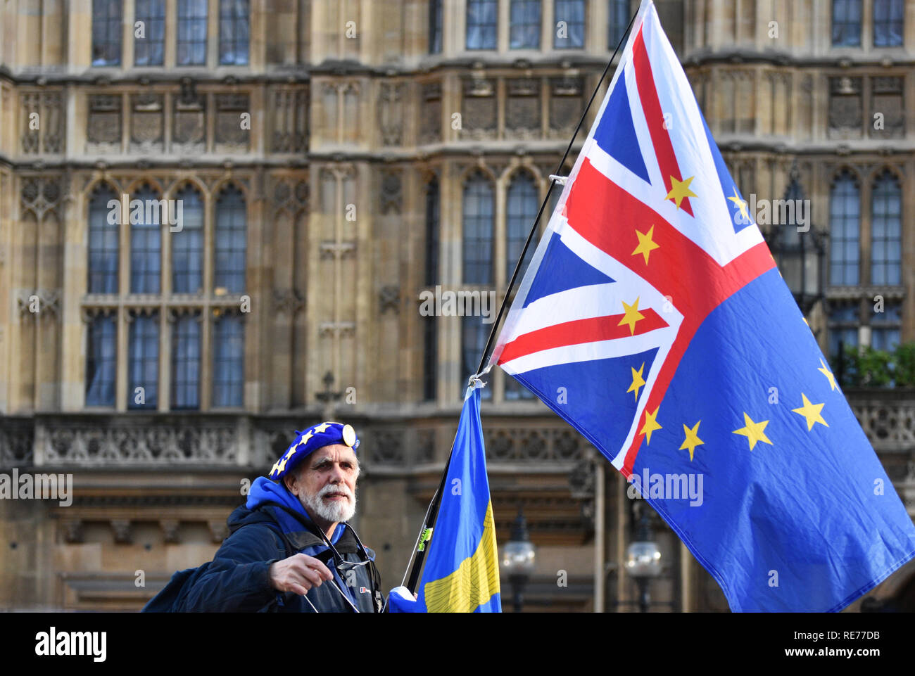 Un Anti Brexit Protestor al di fuori della sede del parlamento di Londra, Regno Unito. Il 17 gennaio 2019. Foto Stock