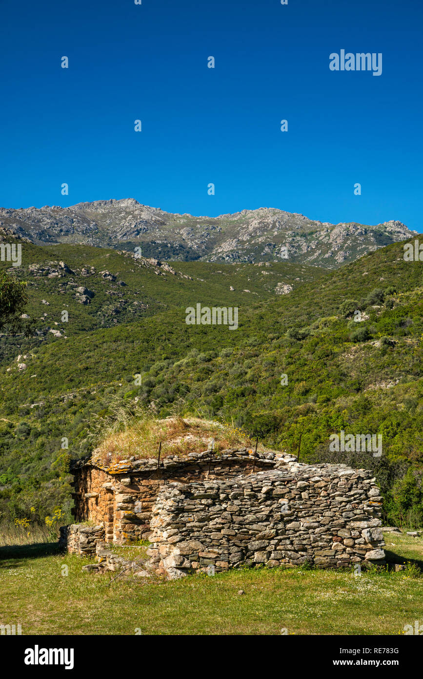Capanna di pietra in colline in Nebbio micro-regione, vicino a Saint-Florent, Haute-Corse reparto, Corsica, Francia Foto Stock