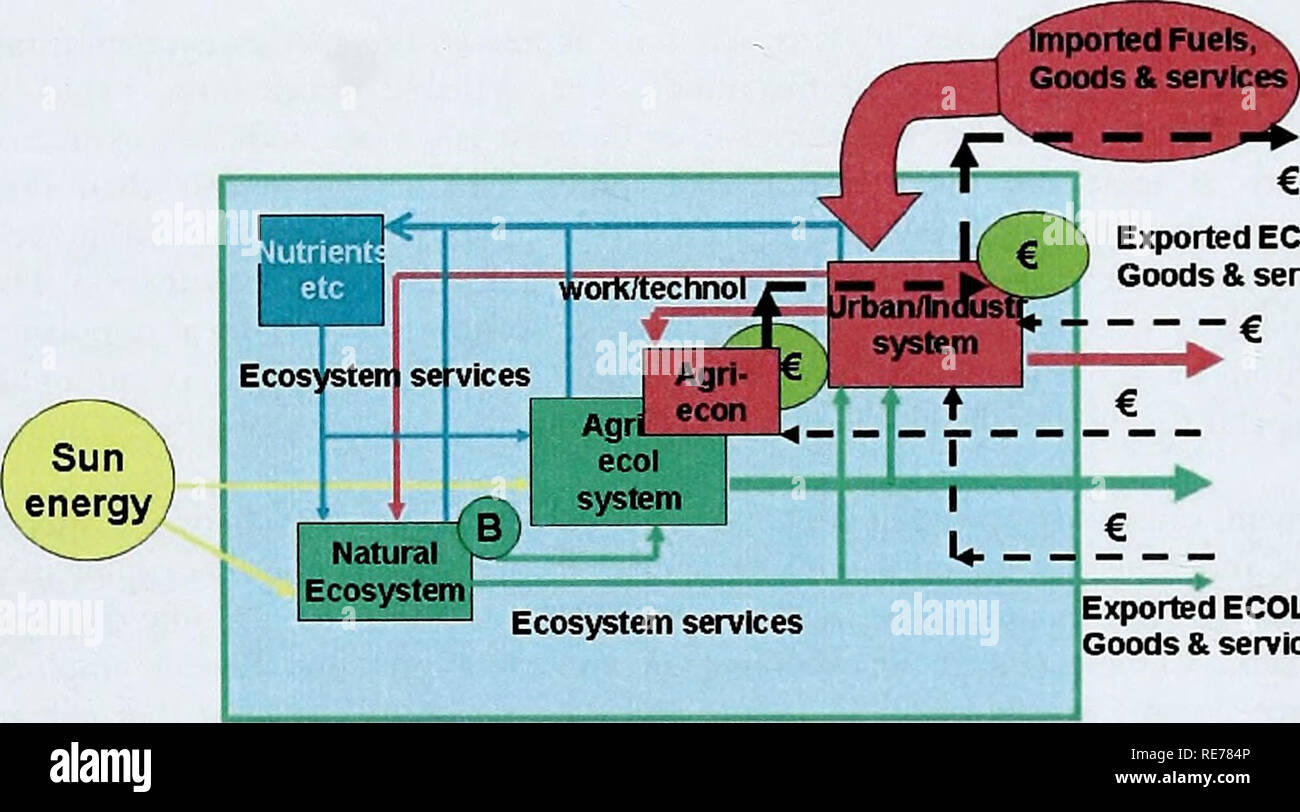 . Il costo della politica inazione: il caso di non rispettare la biodiversità 2010 bersaglio. Ecosistema" (con associata la biodiversità "B") è mostrato per fornire una gamma di servizi ecosistemici, alcuni alla "agricolo ecologico-sistema economico", alcuni consumatori nel "Urban/sistema industriale" e alcuni esportati (incorporanti servizi umani come bene). Pagamenti (€) per questi servizi, naturalmente, non andare agli ecosistemi ma per la produzione, la raccolta e il commercio dei prodotti agricoli e sistemi urbani, rispettivamente. Poiché l'età industriale, un increasi Foto Stock