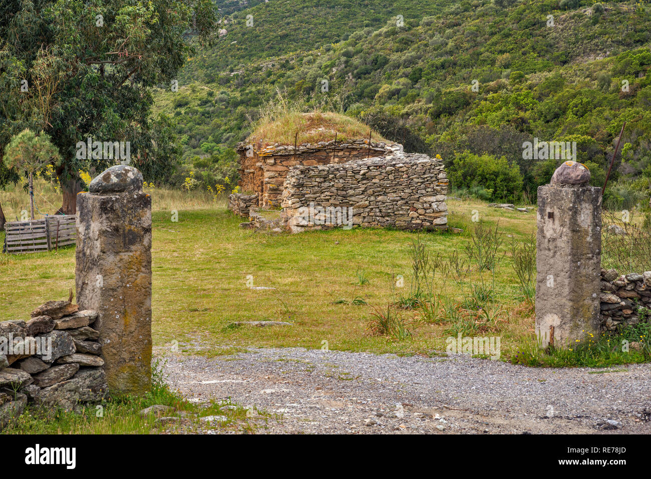 Capanna di pietra in colline nella regione Nebbio, vicino a Saint-Florent, Haute-Corse reparto, Corsica, Francia Foto Stock
