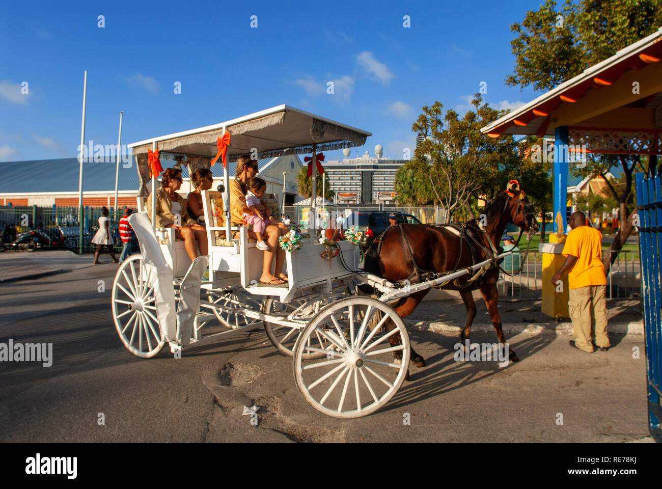 Bahamas New Providence Nassau Bay Street cavallo tour carrello Foto Stock