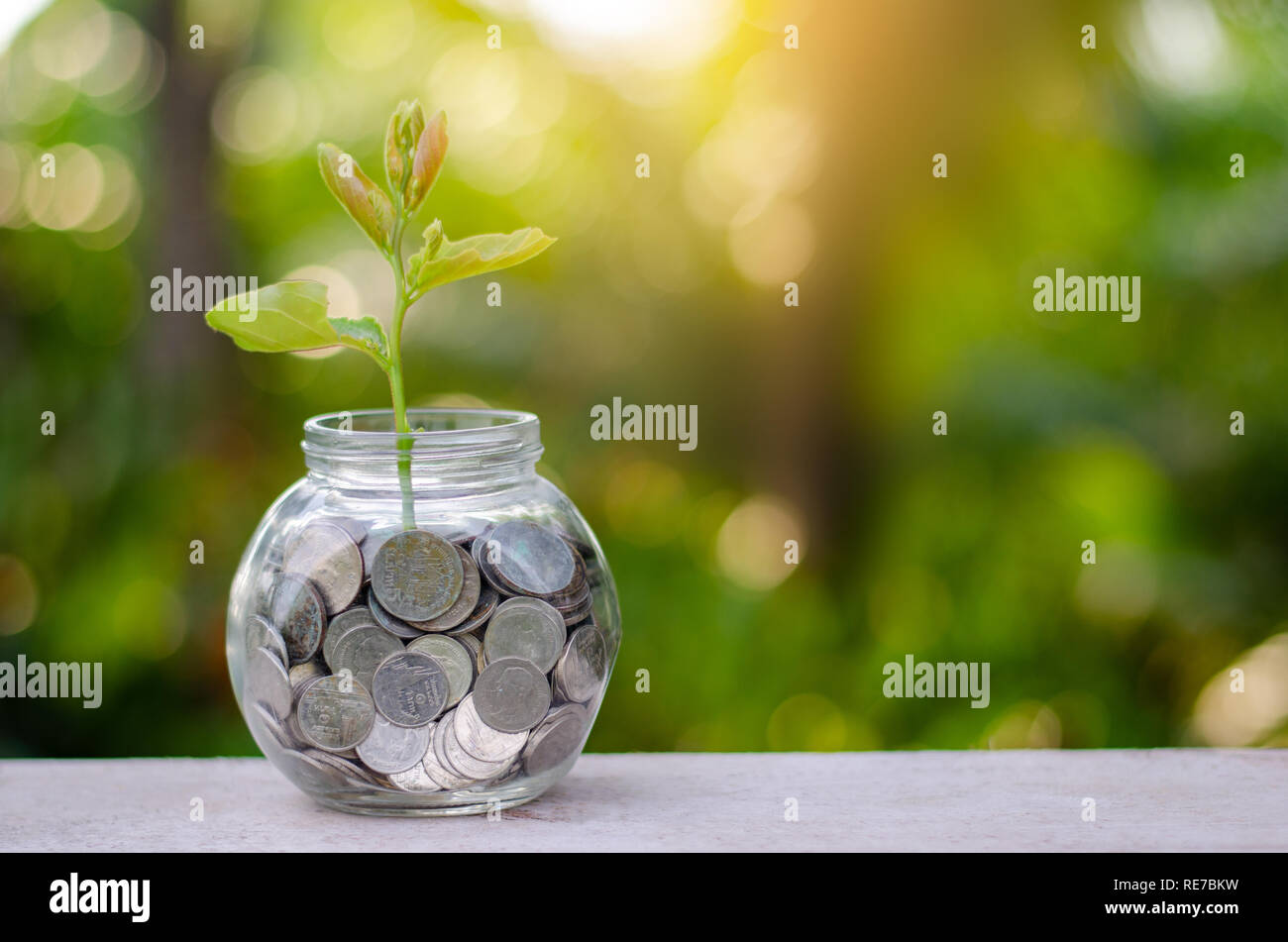 Bottiglia di denaro banconote tree immagine della banconota con coltivazione di piante in alto per il business green fondo naturale di risparmiare denaro e finanziario per gli investimenti c Foto Stock