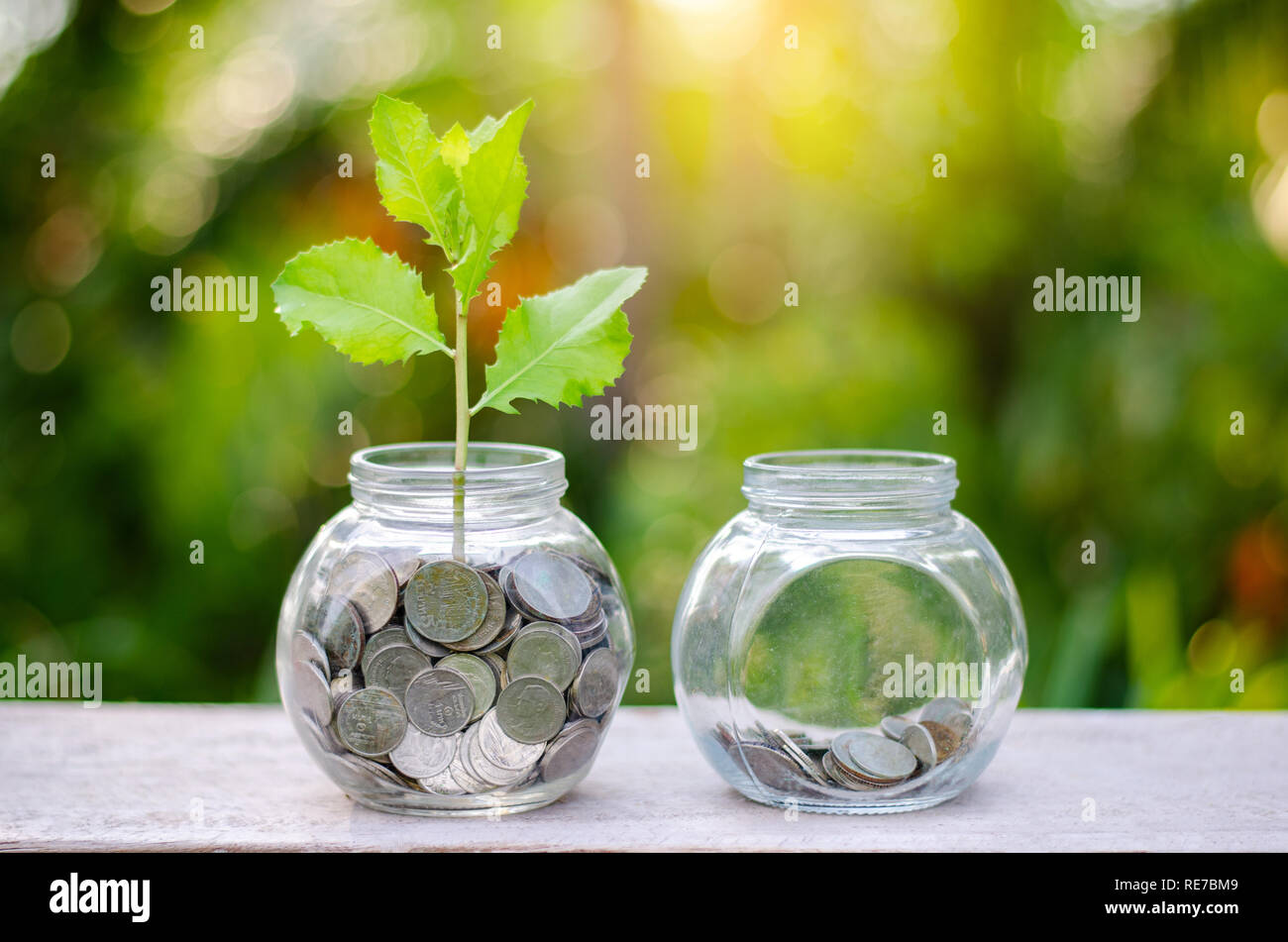 Bottiglia di denaro banconote tree immagine della banconota con coltivazione di piante in alto per il business green fondo naturale di risparmiare denaro e finanziario per gli investimenti c Foto Stock