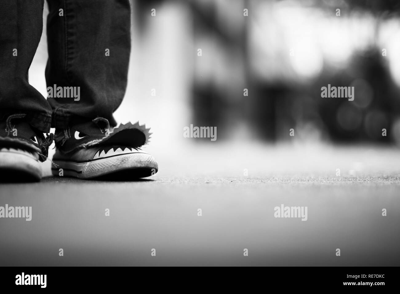 Scarpe da squalo immagini e fotografie stock ad alta risoluzione - Alamy